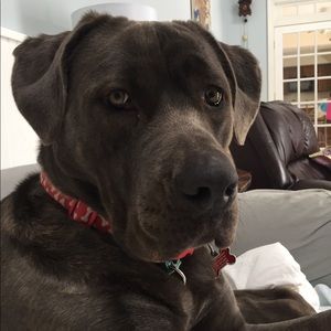 Thanks for checking out my closet!